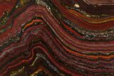 Polished Tiger Iron Stromatolite Slab - Billion Years #178767-1